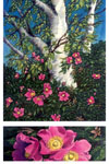 Sylvia Ridgway "Wild Roses"
