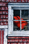 Sylvia Ridgway - "Red Buoy"