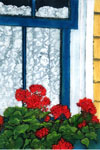 Sylvia Ridgway "Geraniums & Window Box"